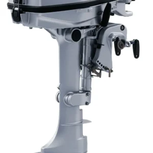 Honda 6cv 4T mono-cylindre démarrage manuel arbre long avec système de charge batterie